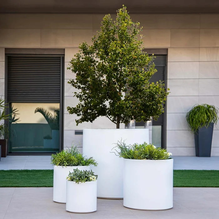 RUNDPFLANZE HORTENSIA 80 FARBE