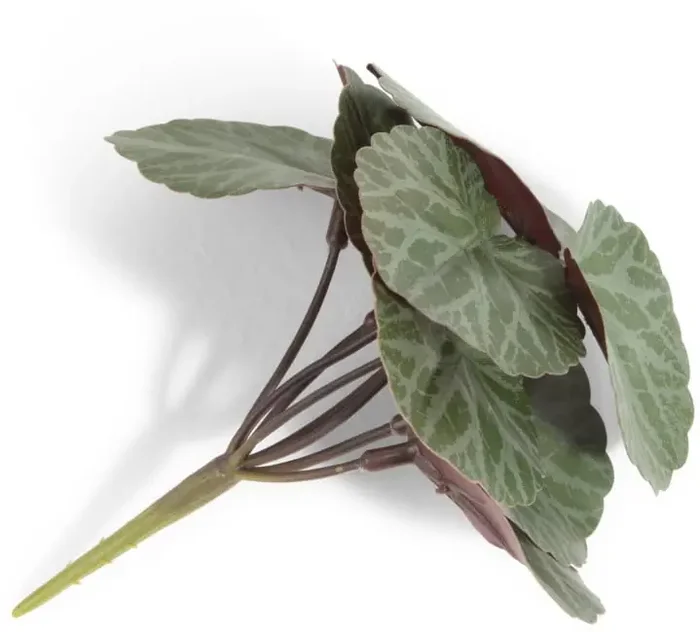 Saxifrage Mini Bush H13cm Kunstblume – Gruen