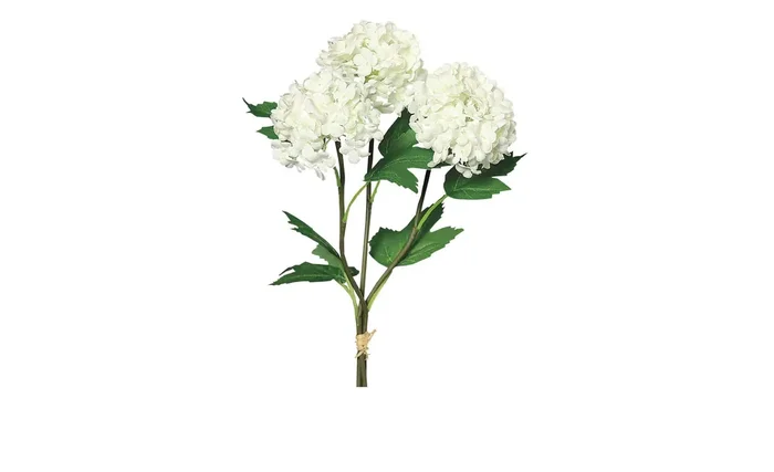 Schneeballbund 25 cm