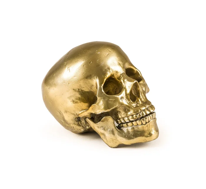 Seletti Wunderkammer – Human Skull – Metall Entworfen von Diesel Creative Team