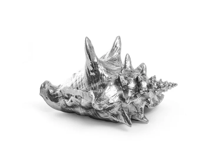 Seletti Wunderkammer Skulptur – Muschel Entworfen von Diesel Creative Team