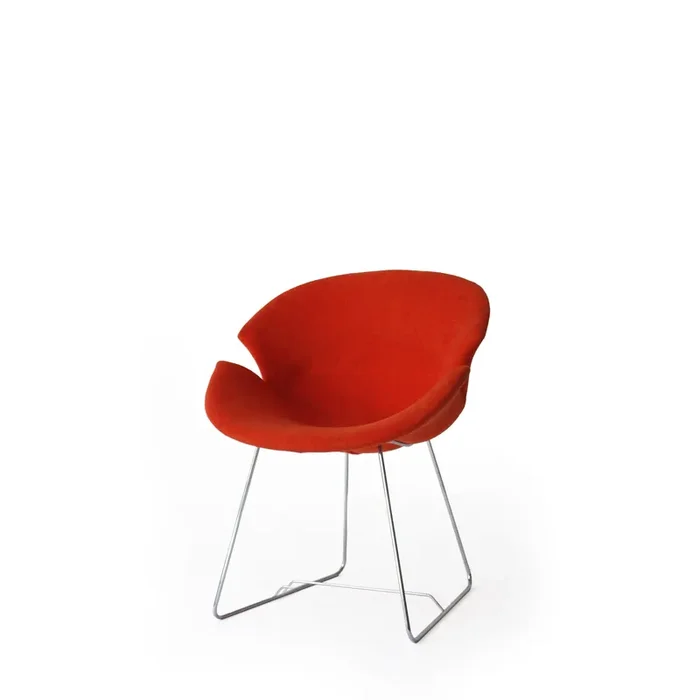 Sessel DAISY von Sandro Santantonio für Giovannetti