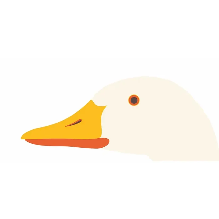 Siebdruck OTTO, L‘OCA von Enzo Mari – 56x112cm