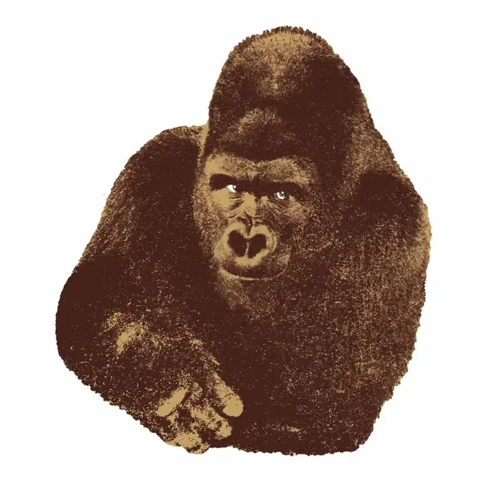 Siebdruck QUINDICI, IL GORILLA von Enzo Mari – 112x112cm