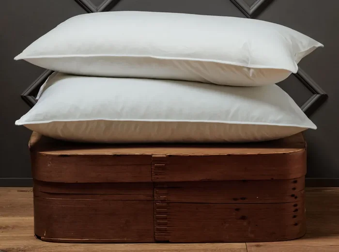 TORTUE Daunen Kopfkissen 50 x 70 cm