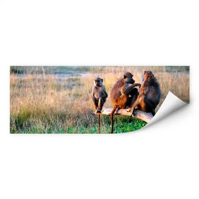 Wallprint W – Affenbande – Panorama