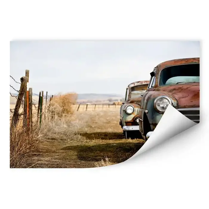 Wallprint W – Old Rusted Cars