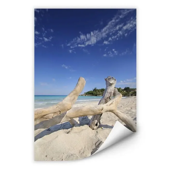 Wallprint W – Treibgut