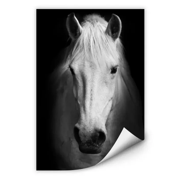 Wallprint W – White Horse