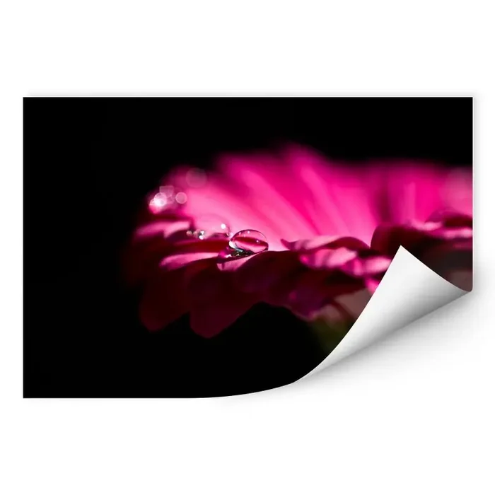 Wallprint Waterdrop of Life