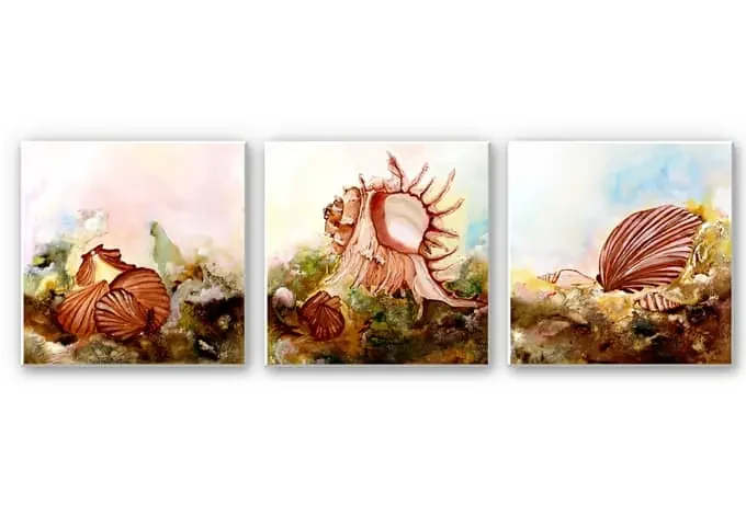 Wandbild Fedrau – Muscheln 02 (3-teilig)