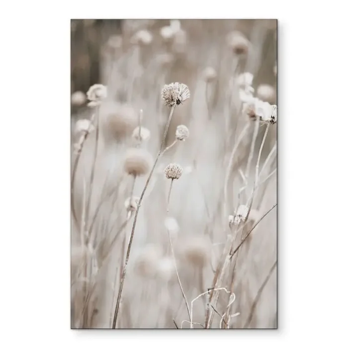 Wandbild Getrocknete Blüten in sanften Tönen – Annie – Alu-Dibond