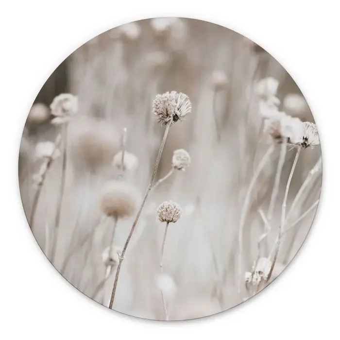 Wandbild Getrocknete Blüten in sanften Tönen – Annie – Alu-Dibond Rund