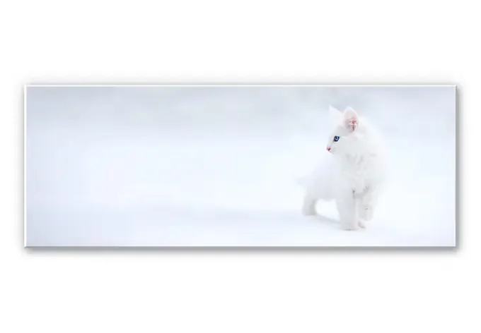 Wandbild Prexus – Weißer als Schnee