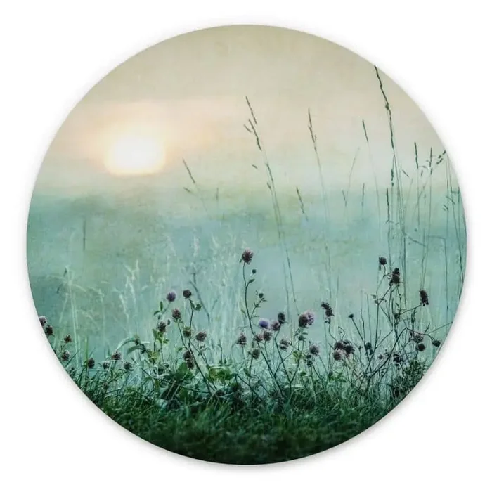 Wandbild Taubedeckter Sonnenaufgang – Alu-Dibond Rund – Kværnstrøm