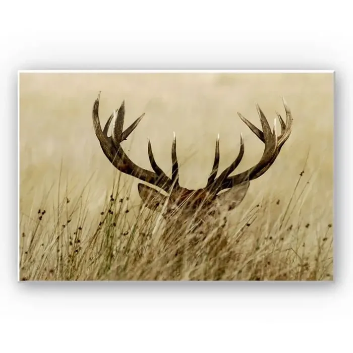 Wandbild Wachsamer Hirsch