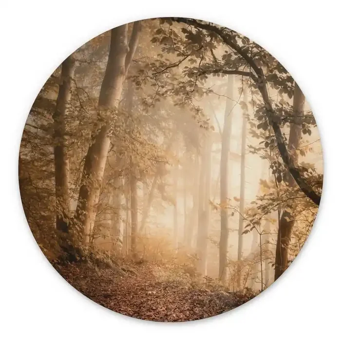 Wandbild Wald im morgendlichen Nebel – Maier – Alu-Dibond – Rund