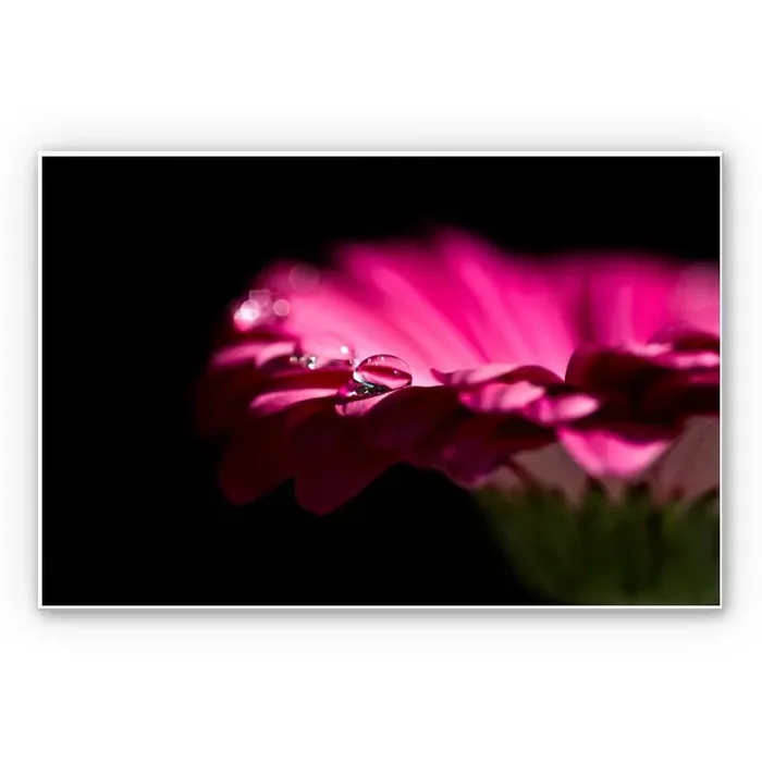 Wandbild Waterdrop of Life