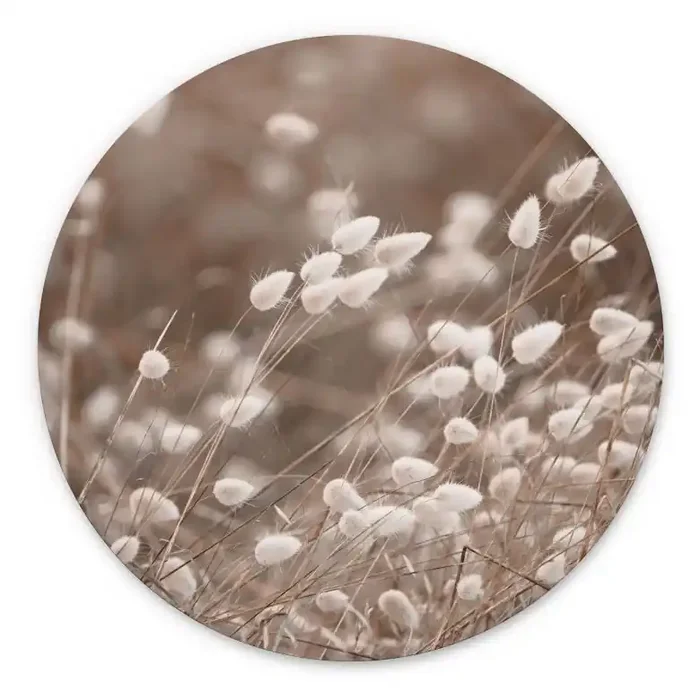 Wandbild Zarte Gräser im Herbstlicht – Collins – Alu-Dibond – Rund