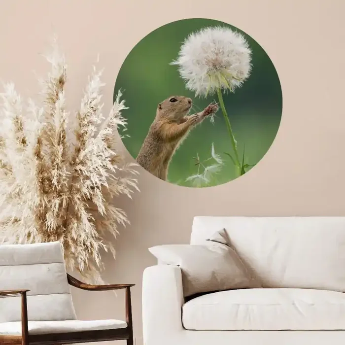 Wandtattoo van Duijn – Erdhörnchen mit Pusteblume – Rund